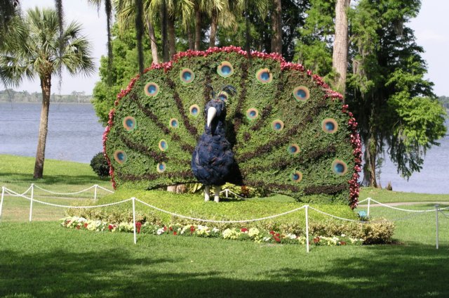 cypressgardens7.jpg
